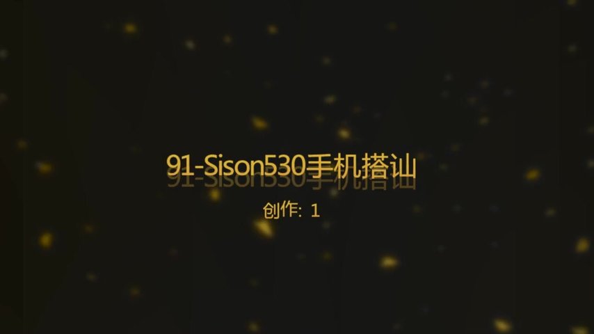 91-Sison530新作-番号P1704-搭讪系列二-手机搭讪附近性感漂亮的大奶美女,不仅长得漂亮,这对